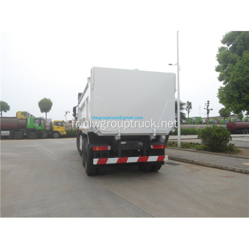 Saic hongyan 390HP 8x4 camion benne